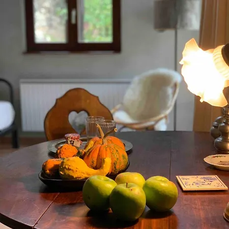 Maisonnette De Charme Avec Piscine * Ingenheim