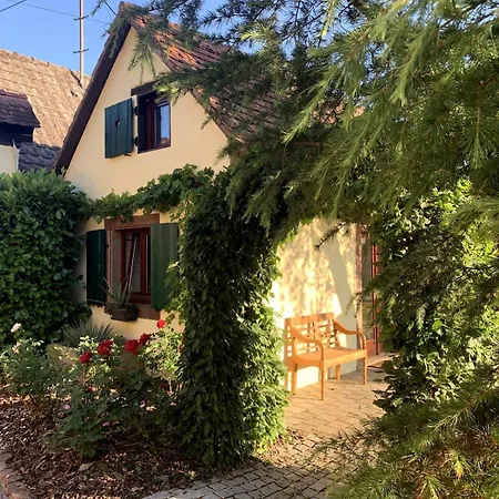 Maisonnette De Charme Avec Piscine