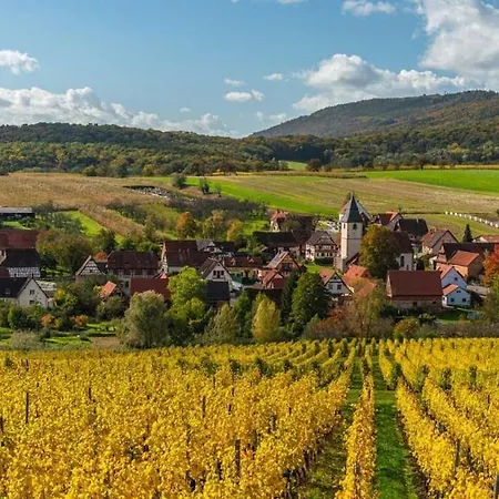 Maisonnette De Charme Avec Piscine * Ingenheim